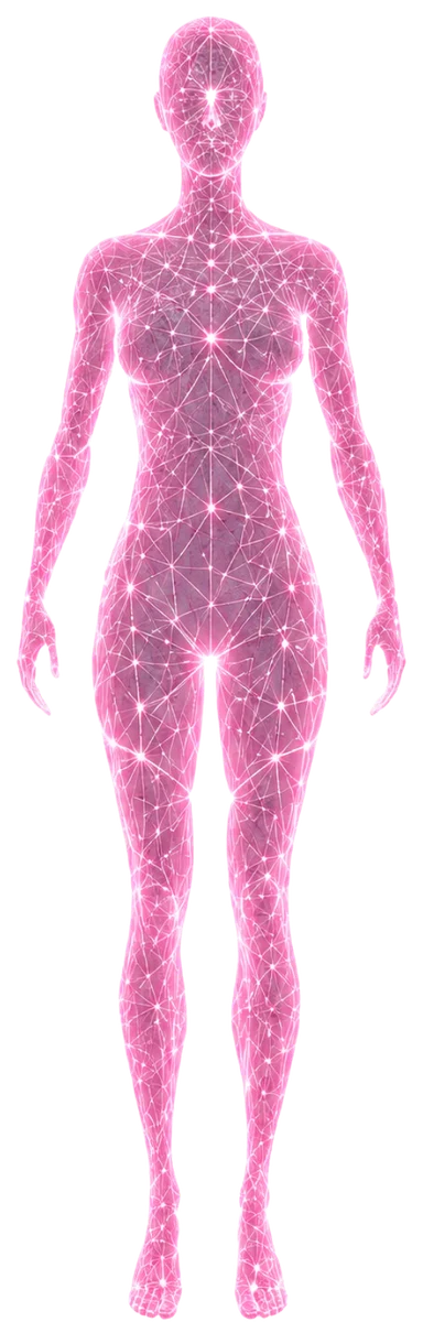 Female biological silhouette