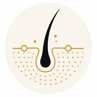 Harley Street hair diagnostic icon