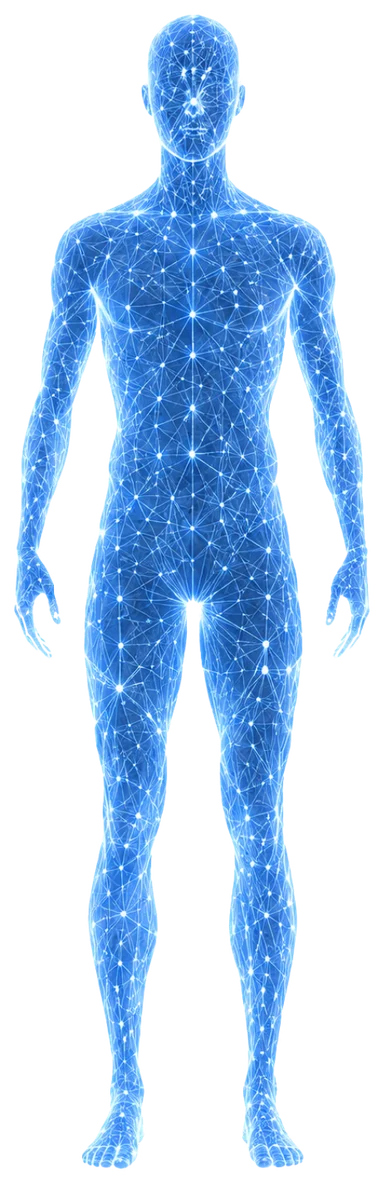 Male biological silhouette